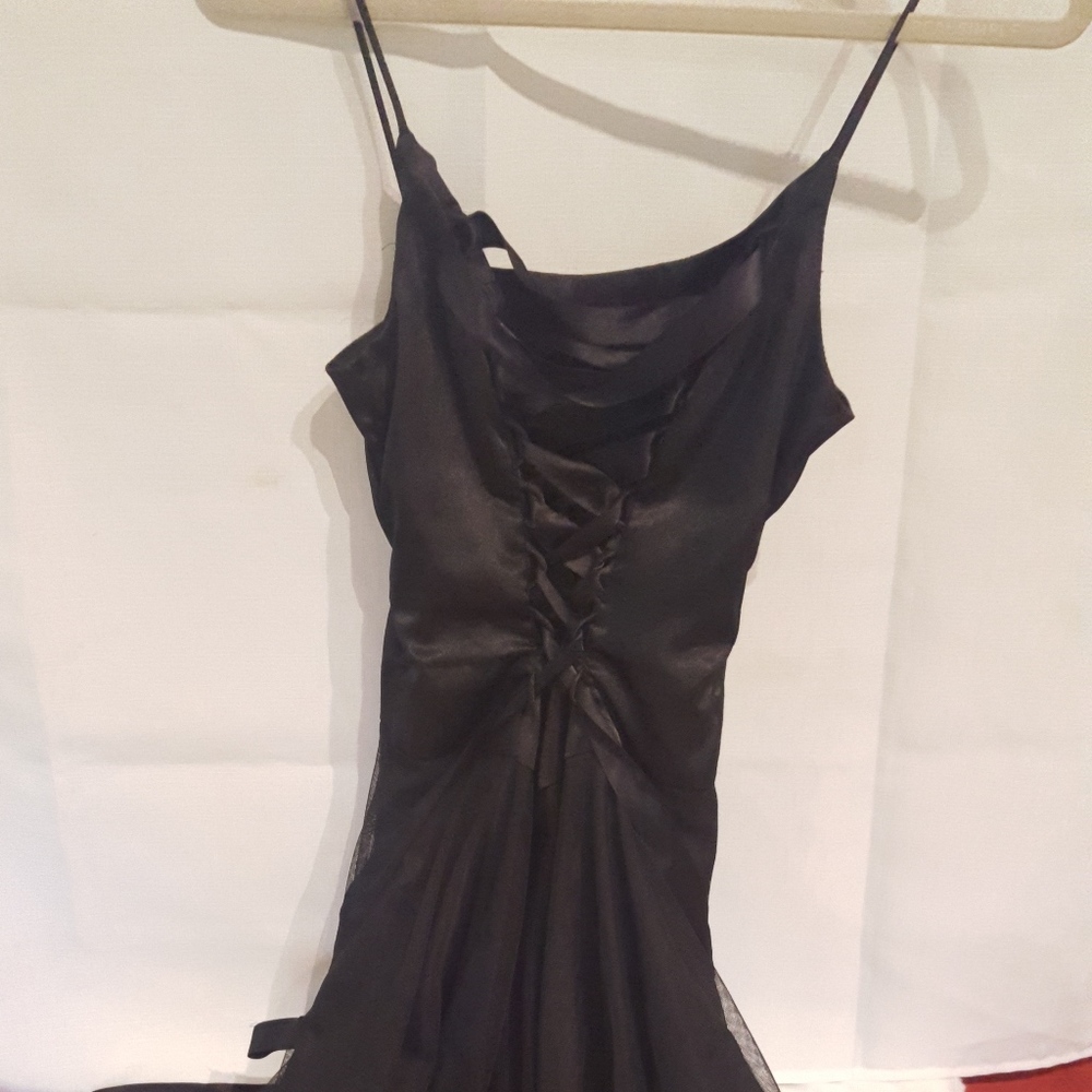 Gorgeous Ballerina Style / Corset Back Dress